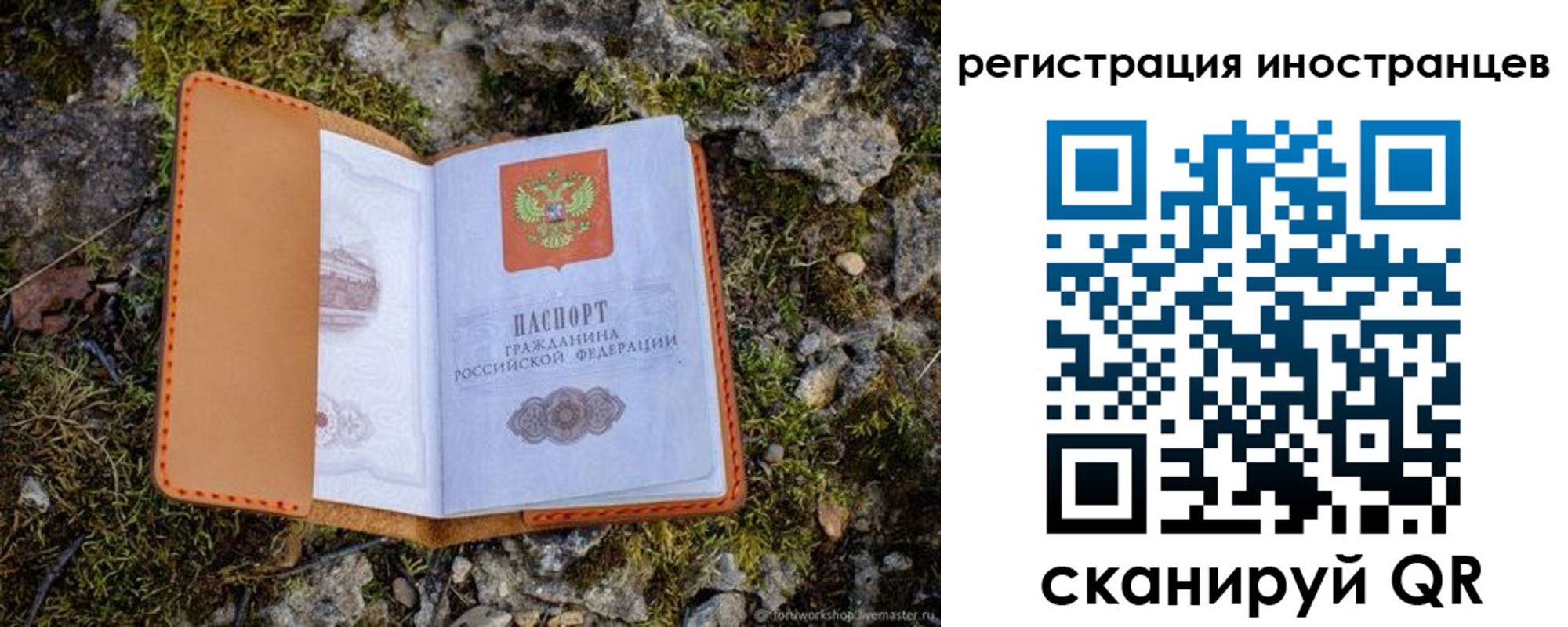 прописка паспорт в Псковской области