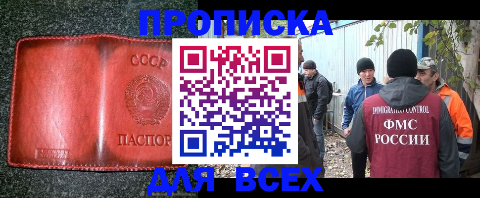 временная регистрация поиск в Псковской области